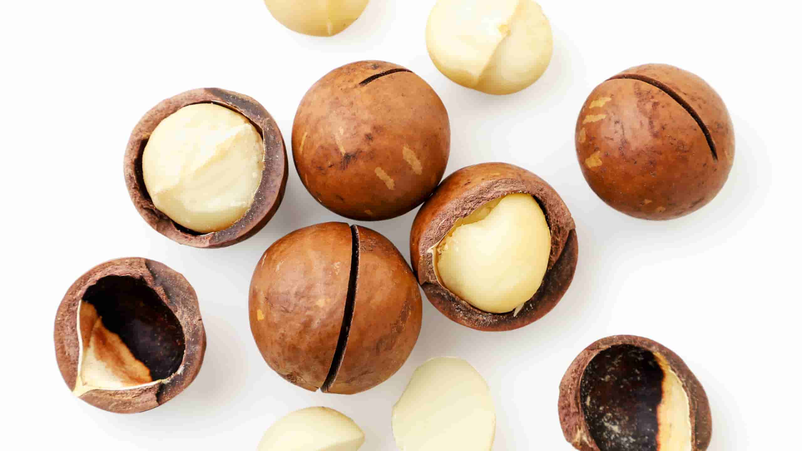 Sustainable farming practices for producing bulk macadamia nuts