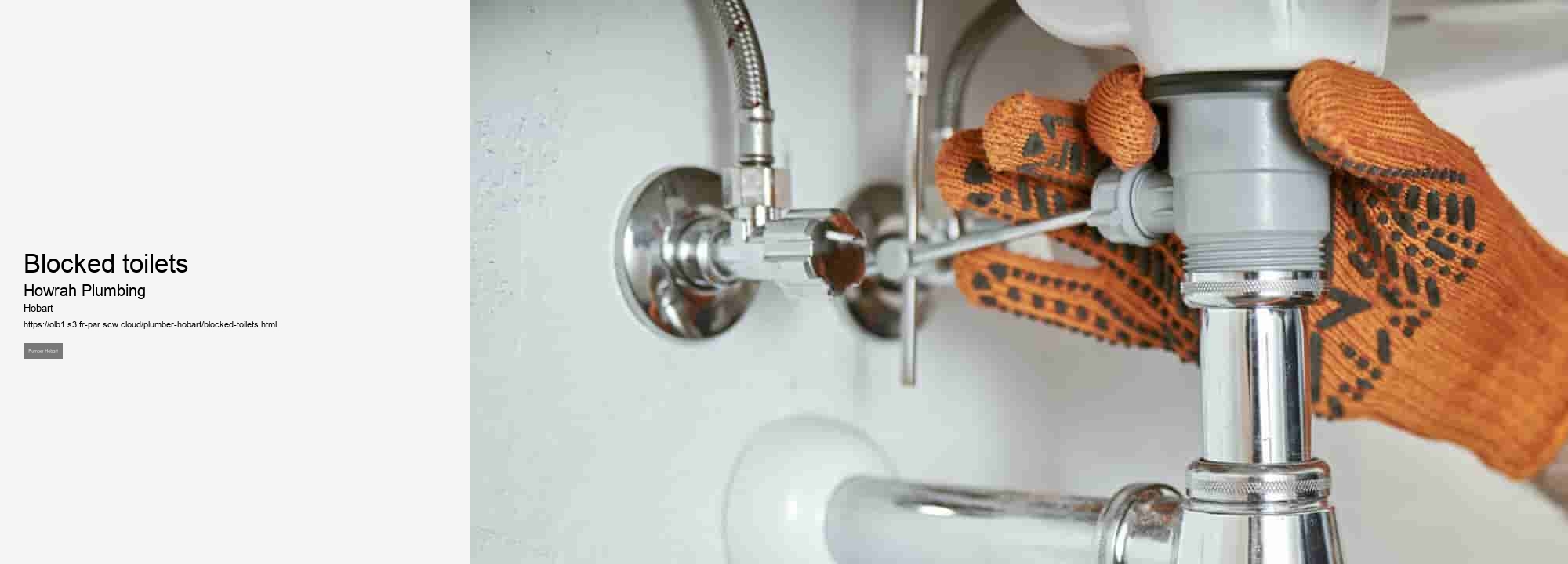 Blocked toilets