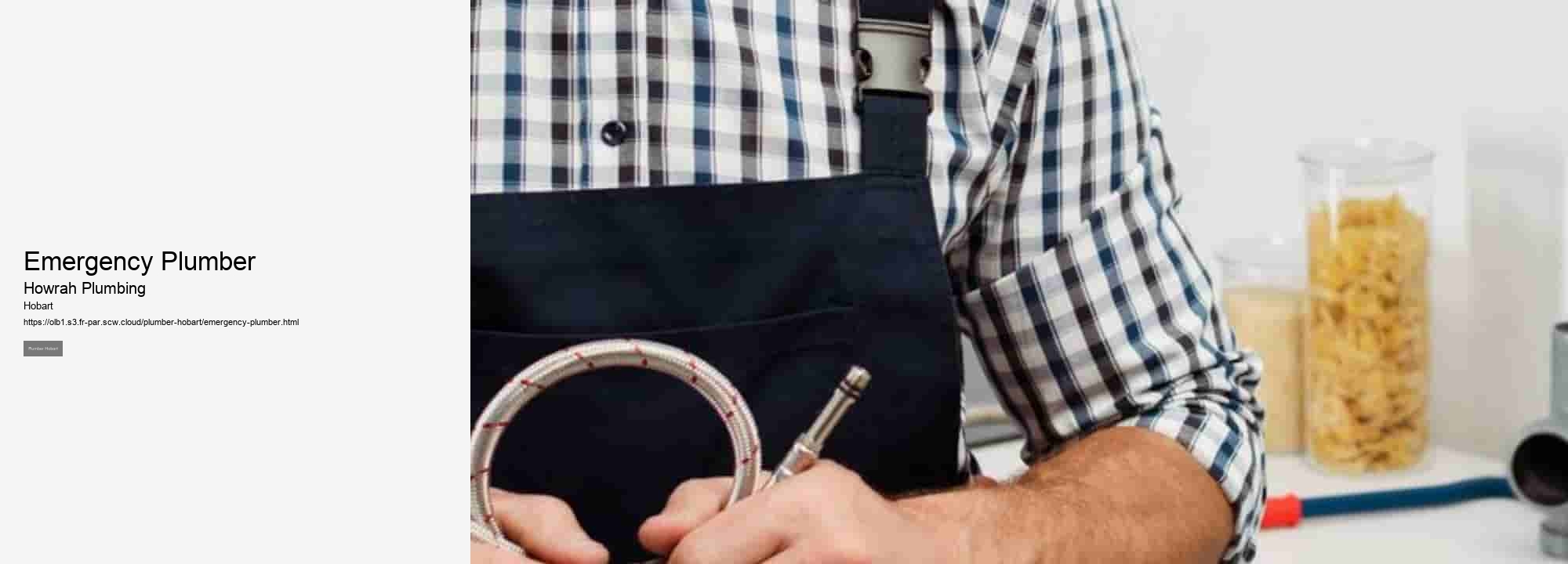 Emergency Plumber